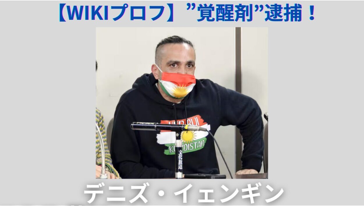 アイキャッチ画像-デニズ・イェンギン　Wiki