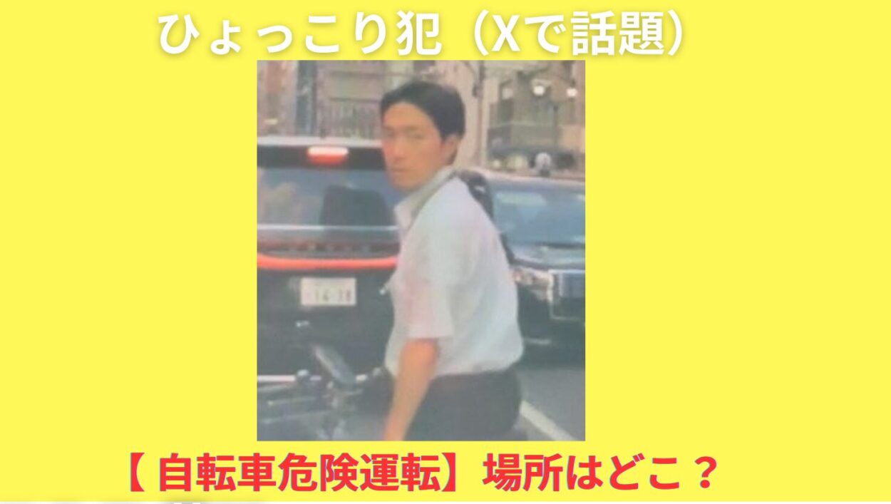 アイキャッチ画像-ひょっこり犯　自転車