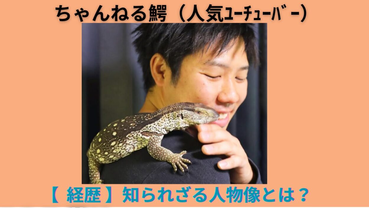 アイキャッチ画像-ちゃんねる鰐　経歴
